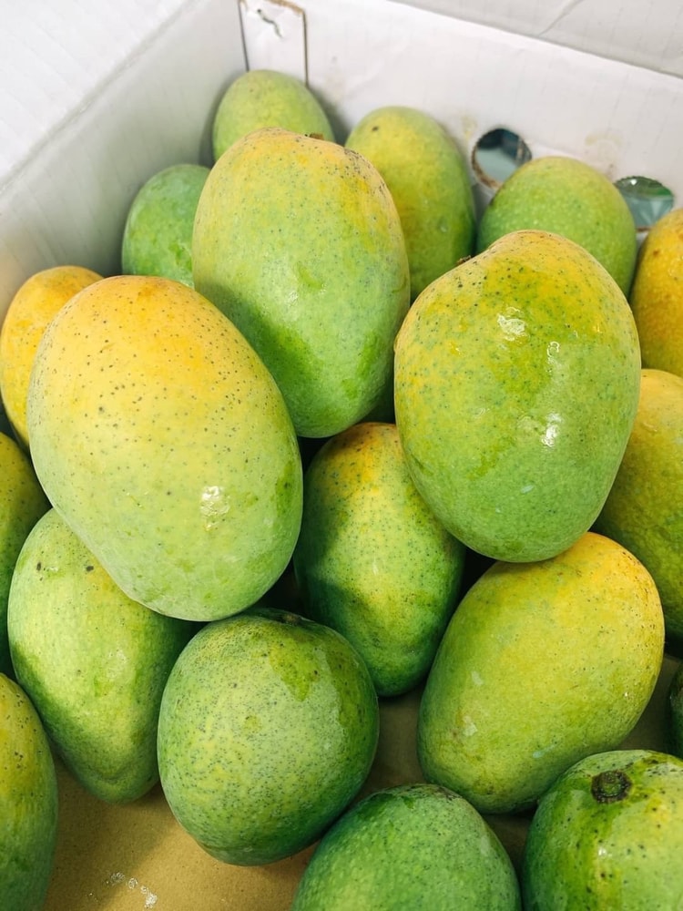 【帕查嬤嬤】🇹🇼屏東 土芒果 10顆🥭｜台灣土芒果