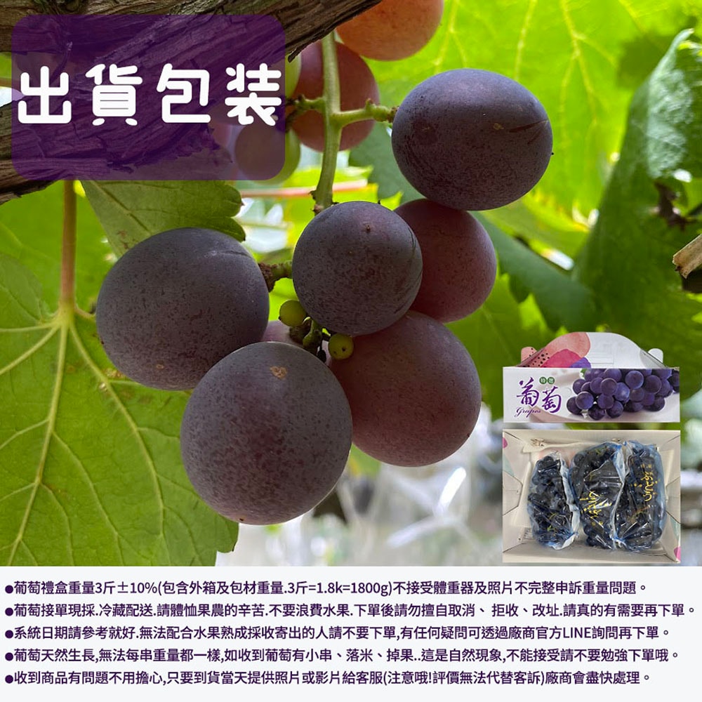 【初品果】彰化溪州巨峰葡萄禮盒3斤x2盒(冷藏配送,D+7出貨,週五到週日及國定假日前一天不出貨)