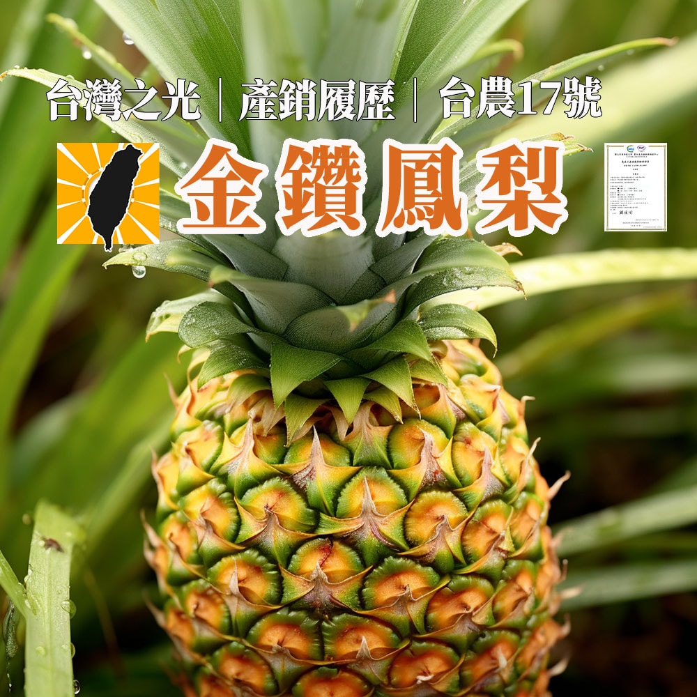 【初品果】產銷履歷台農17號台灣金鑽鳳梨禮盒2公斤2顆x1盒(D+7出貨,周五-周日及例假日前一天不出貨)