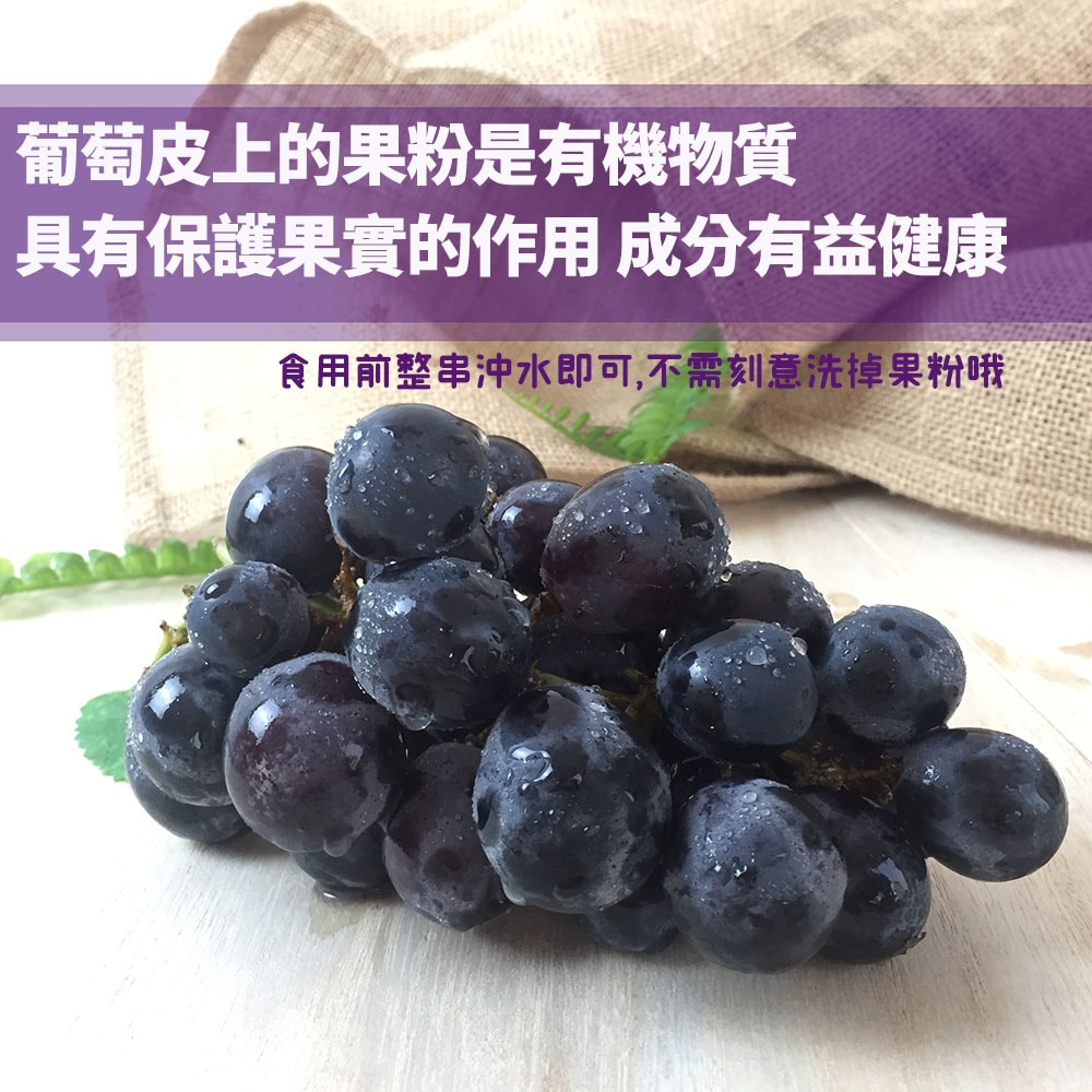 【初品果】彰化溪州巨峰葡萄禮盒3斤x2盒(冷藏配送,D+7出貨,週五到週日及國定假日前一天不出貨)