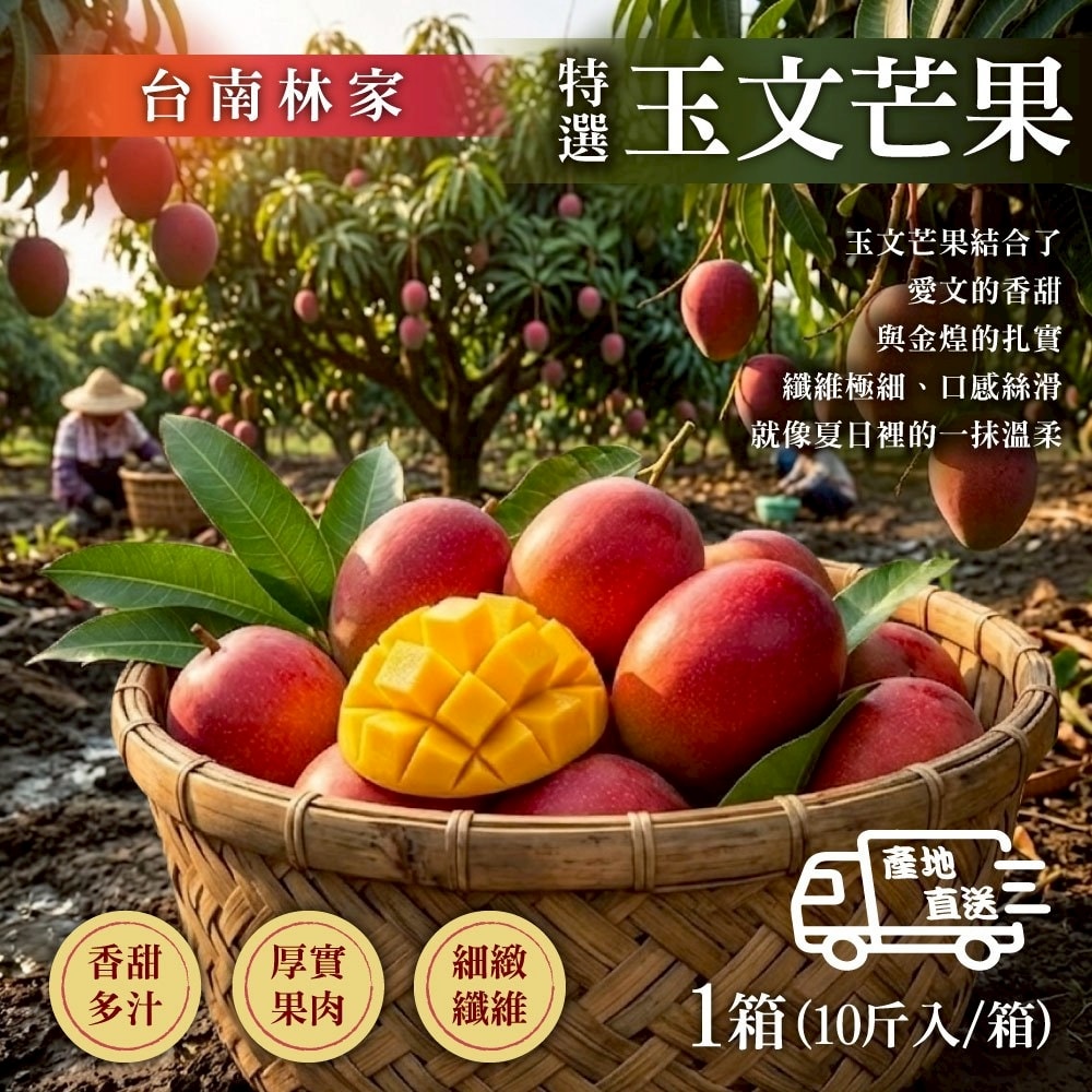 【臺南林家】特選玉文芒果10斤 x1箱(特色品種/夏季限定)