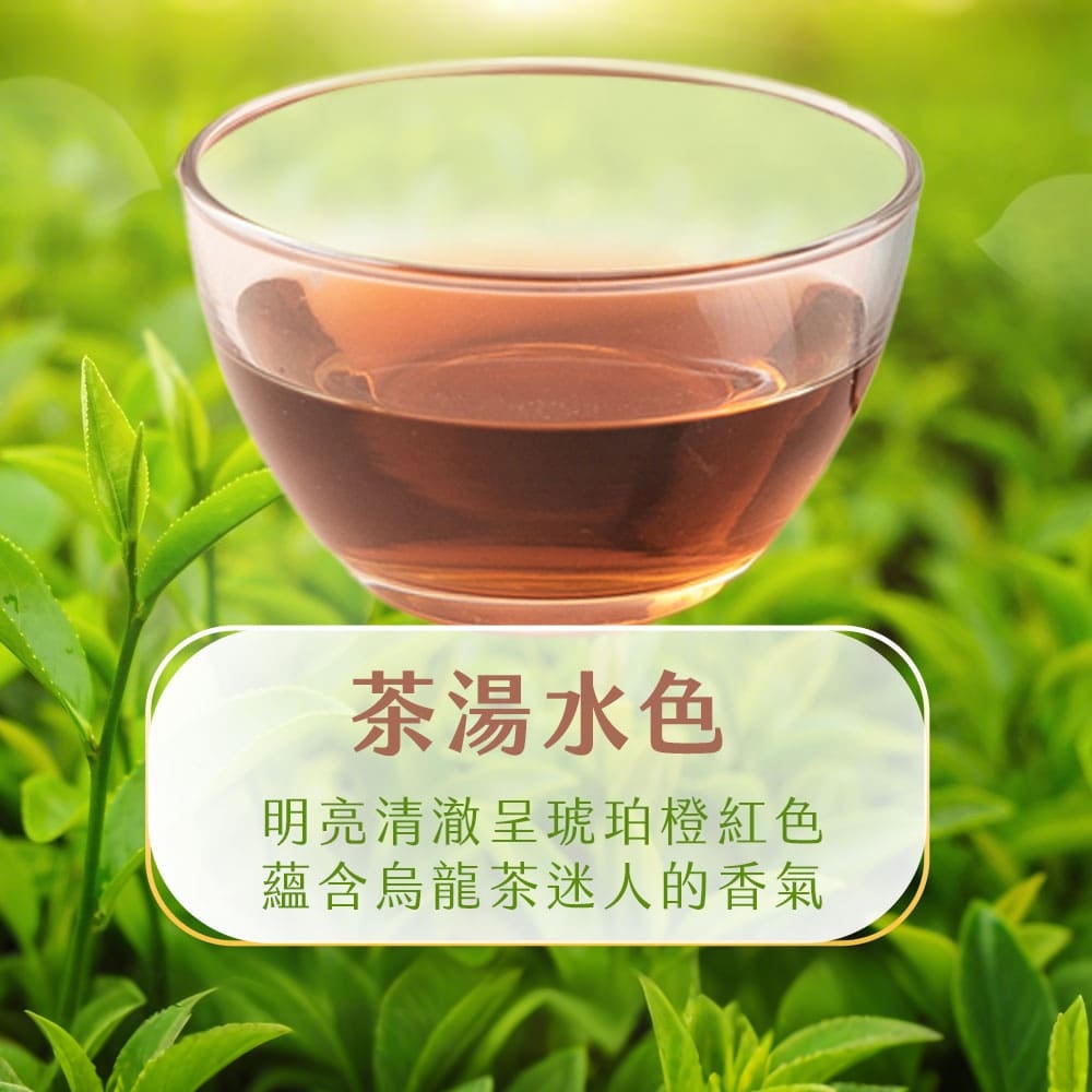 【初嚐】紅烏龍茶 490ml-24入/1箱