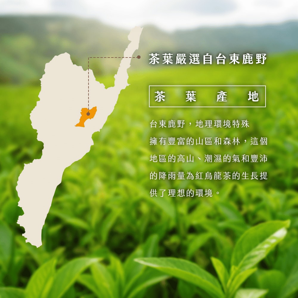 【初嚐】紅烏龍茶 490ml-24入/1箱