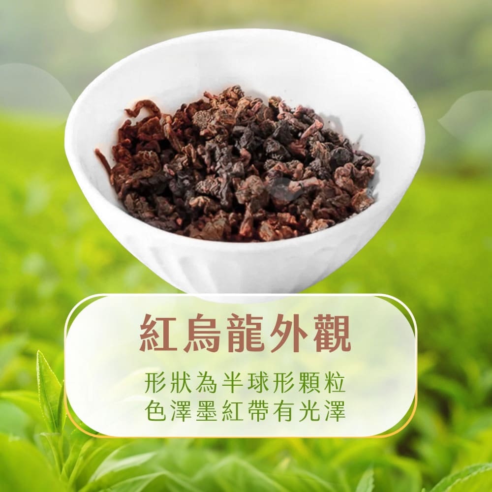 【初嚐】紅烏龍茶900ml-12入/1箱