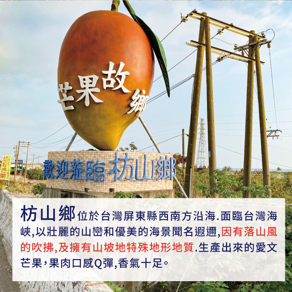 【初品果】(水果)屏東枋山愛文芒果3公斤9-12顆x1盒