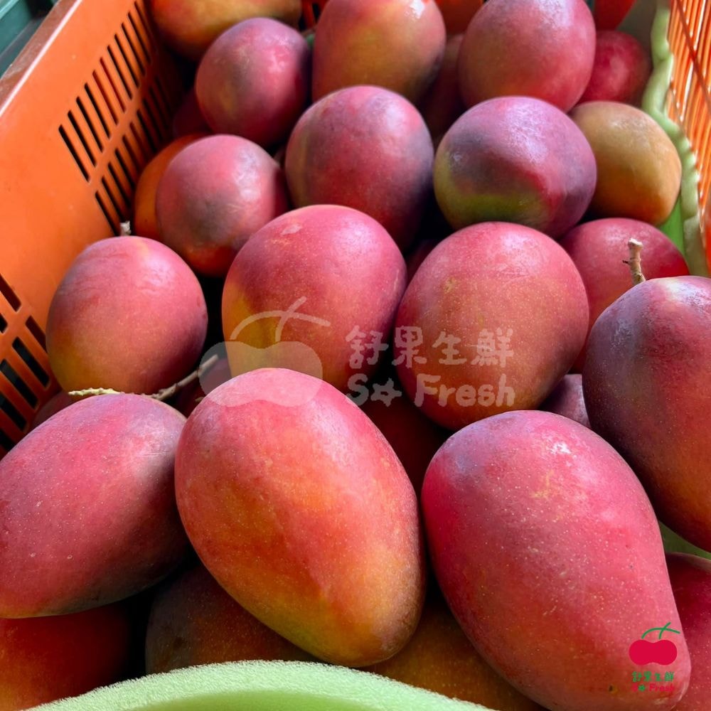【舒果】(預購中 預計6/5排單出貨) (常溫產地直送) 台灣屏東進香枋山愛文芒果 (9-11顆/約3kg/箱)