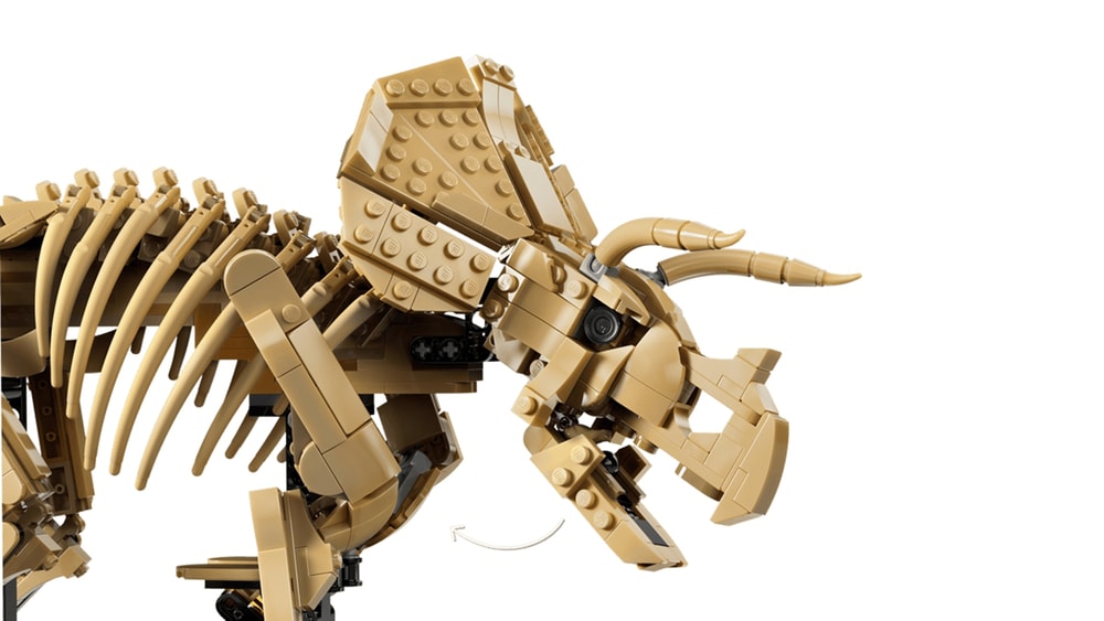 【LEGO 樂高】磚星球〡 77985 侏儸紀世界 恐龍化石 三角龍 Dinosaur Fossils: Triceratops