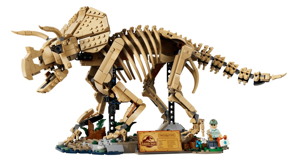 【LEGO 樂高】磚星球〡 77985 侏儸紀世界 恐龍化石 三角龍 Dinosaur Fossils: Triceratops