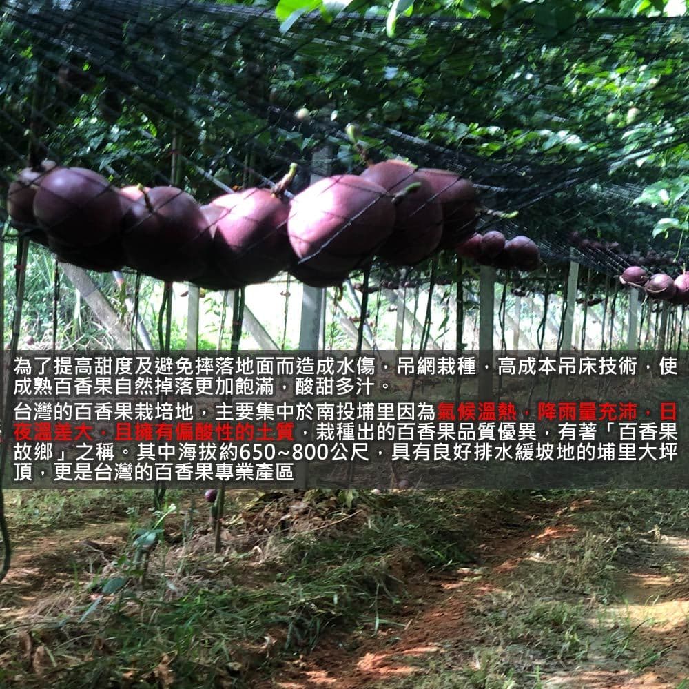 1000x1000.jpg