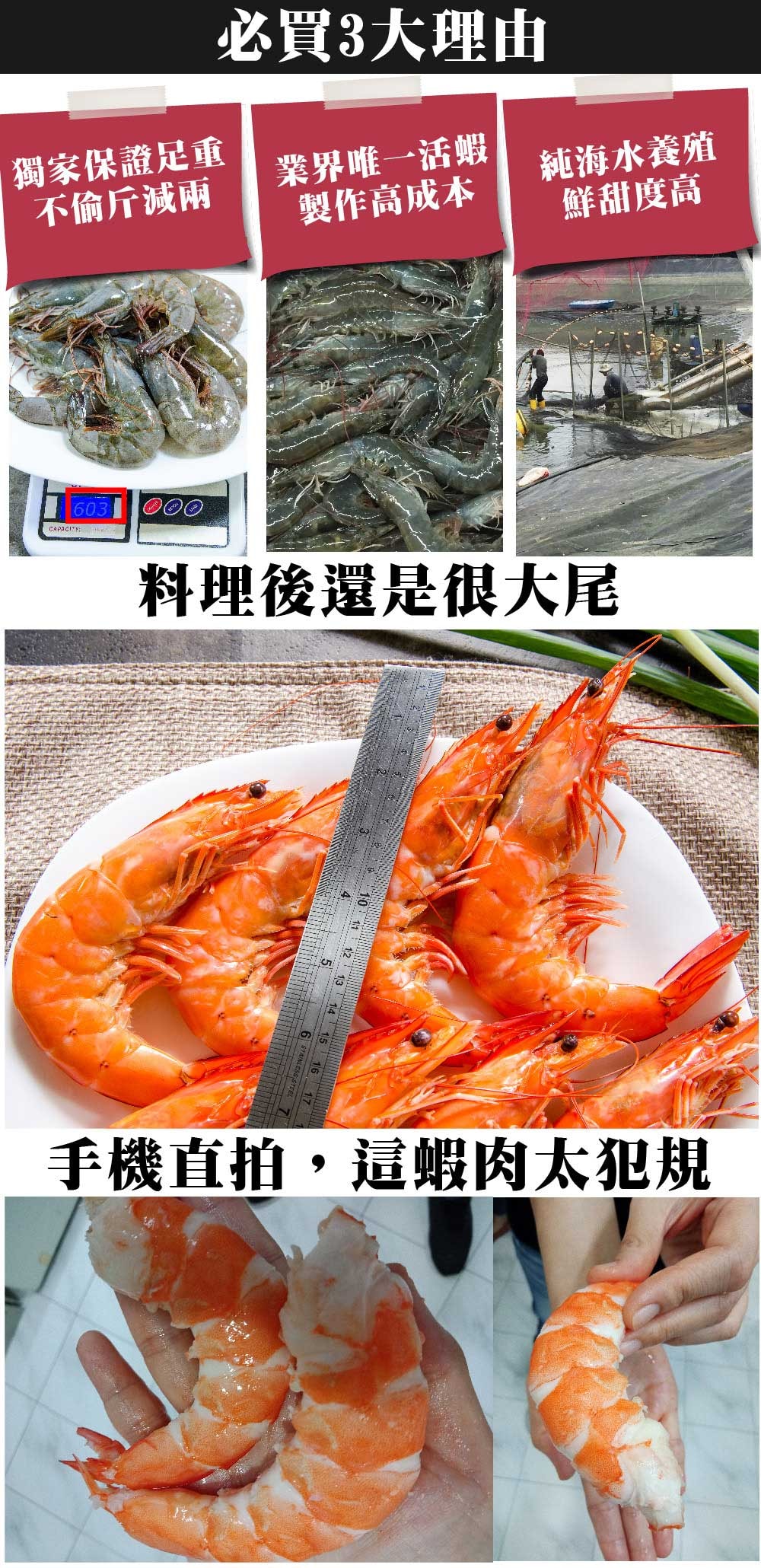 1000x2060.jpg