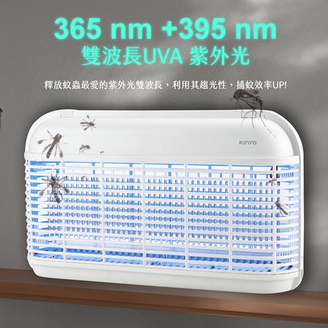 650x650.jpg