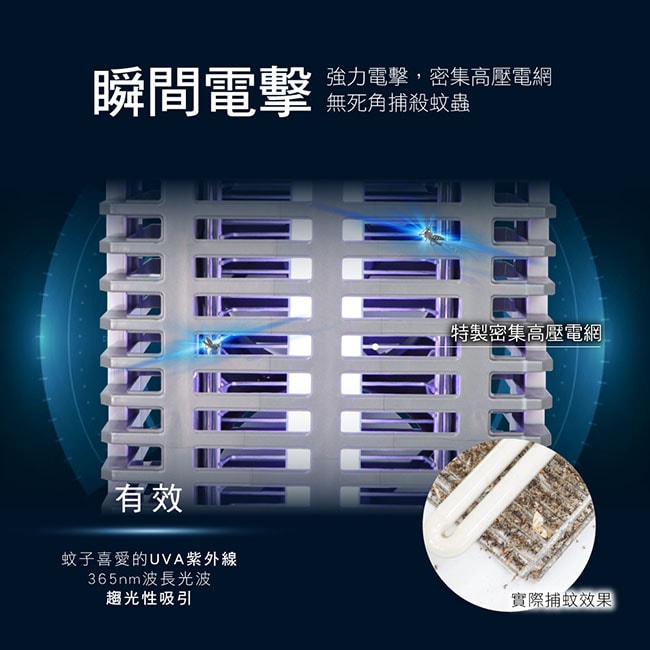 650x650.jpg