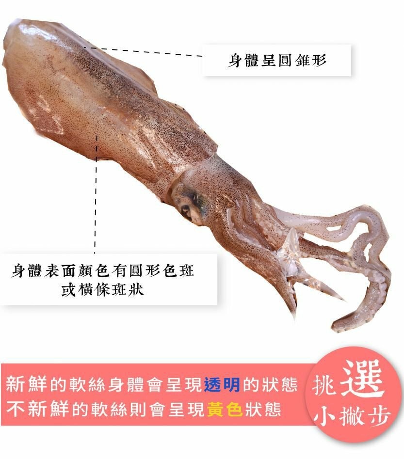 833x947.jpg