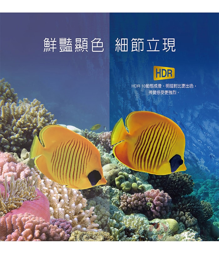700x814.jpg