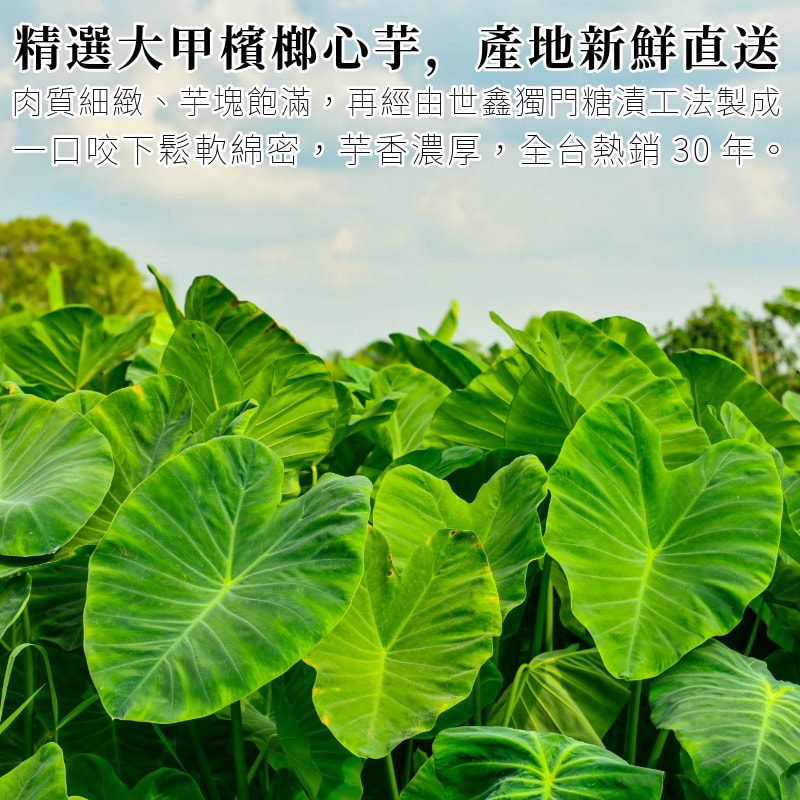 800x800.jpg