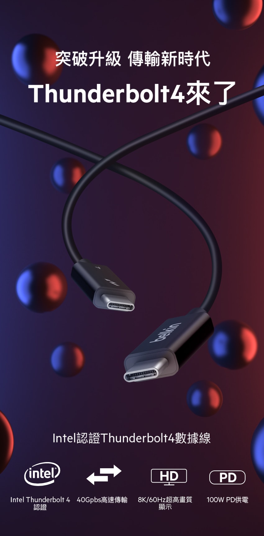 850x1725.jpg