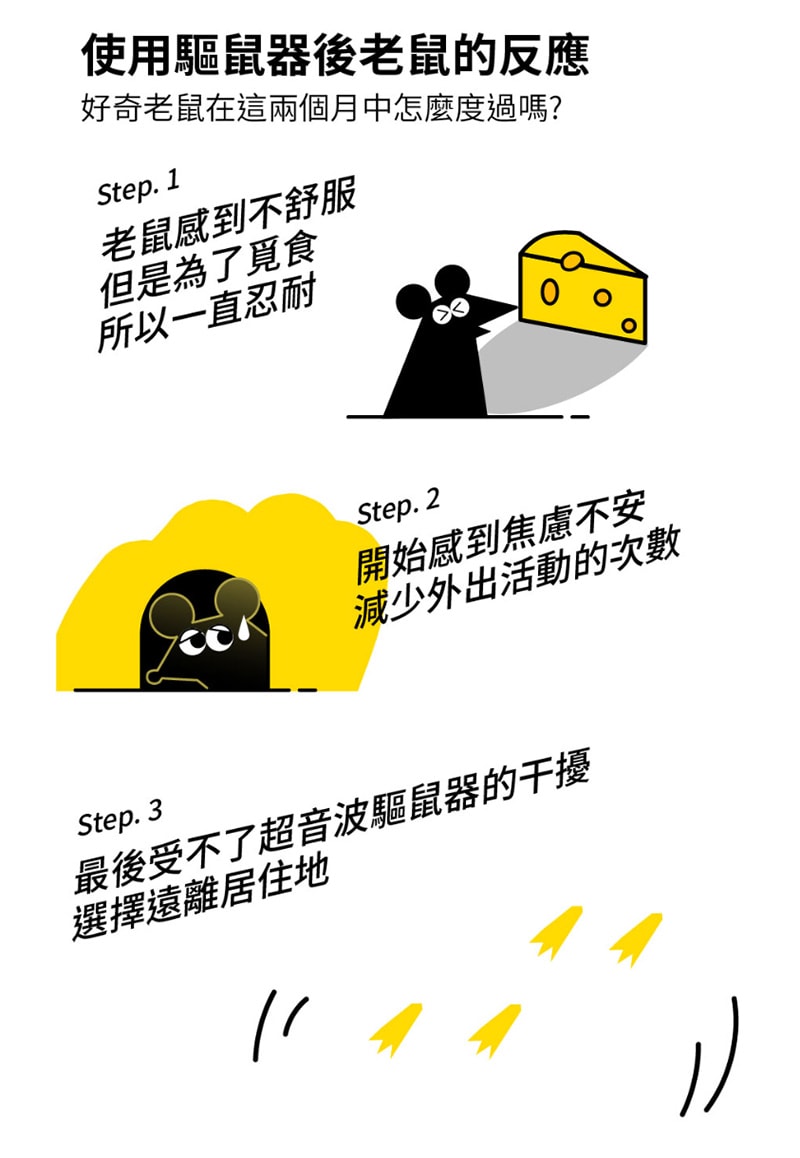 800x1158.jpg