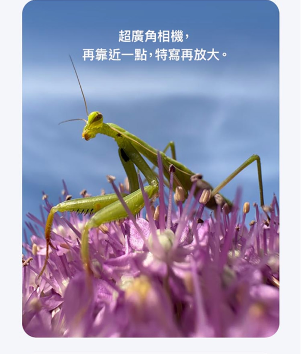 1000x1174.jpg