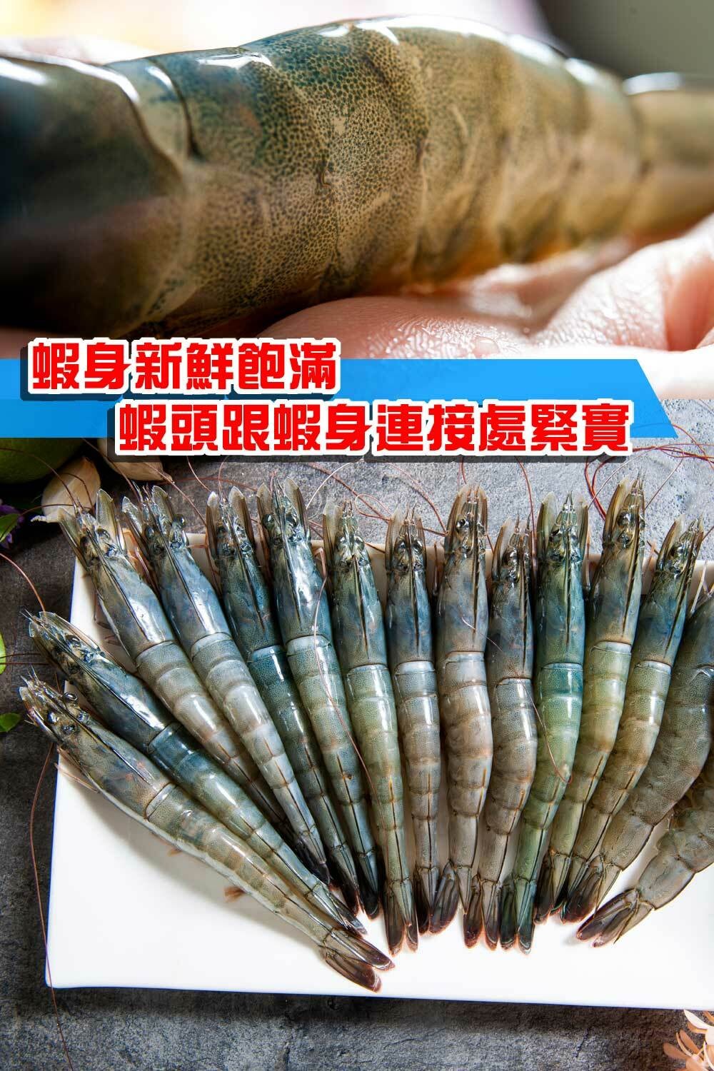 original.jpg?1648622923