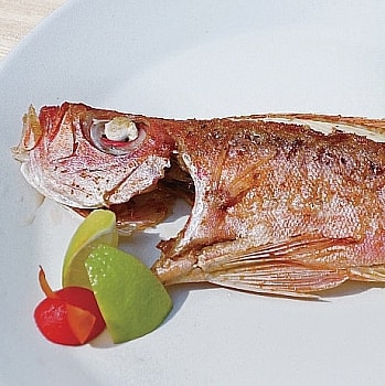 original.jpg?1613718941