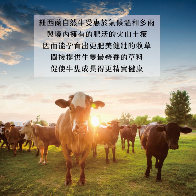 original.jpg?1655794990