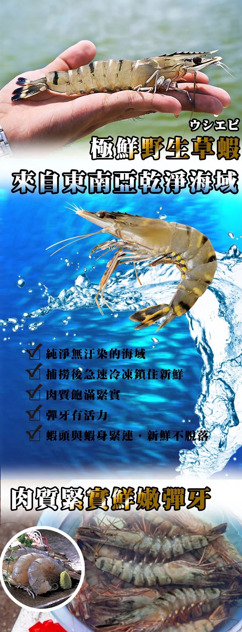 1400x.webp?source_format=jpg