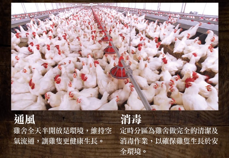 original.jpg?1653031636