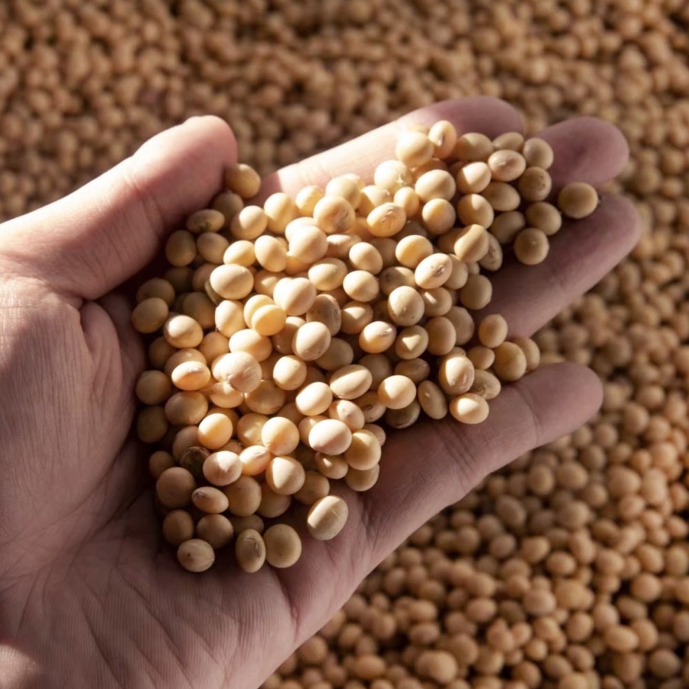 original.jpg?1680141224