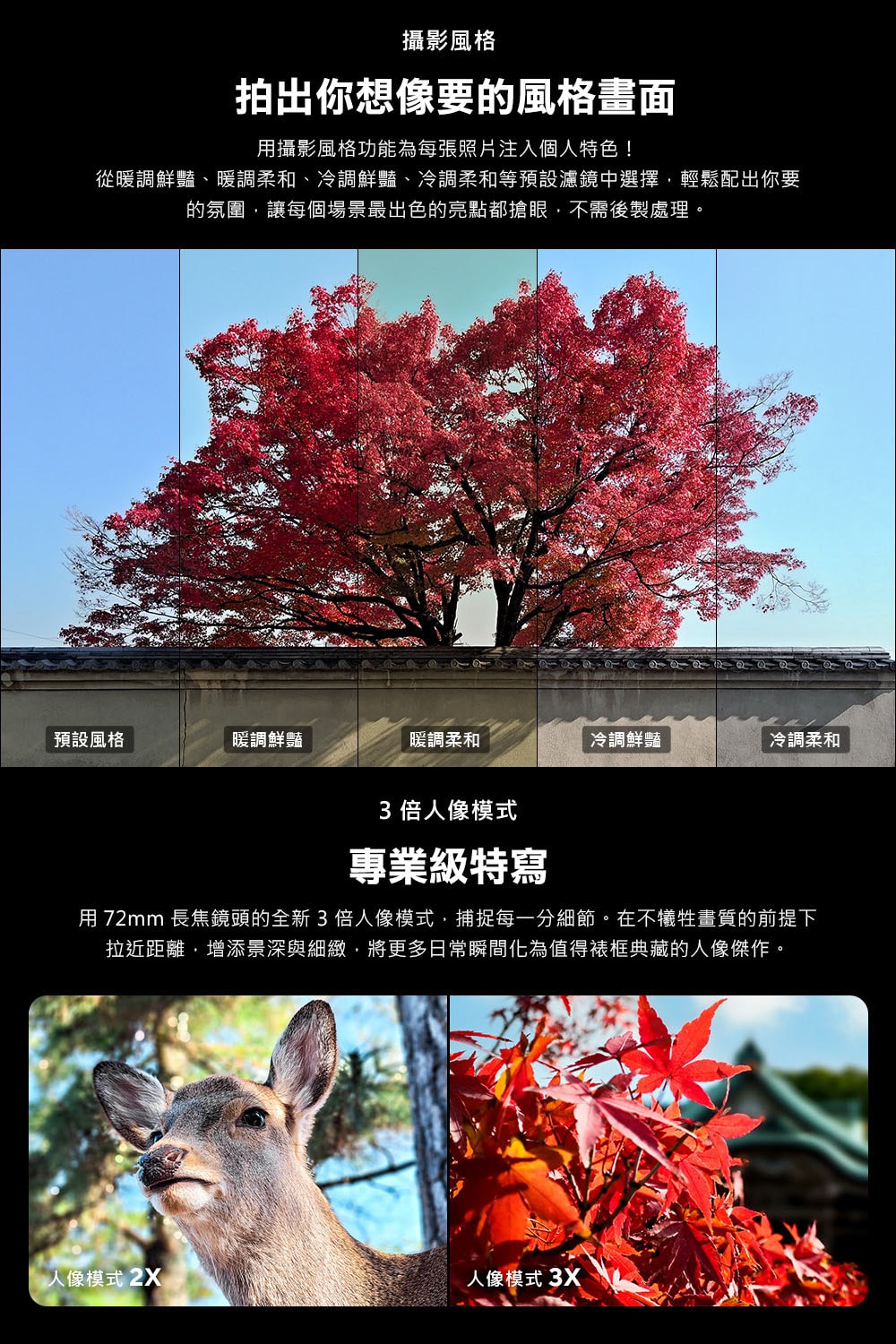 1000x1500.jpg