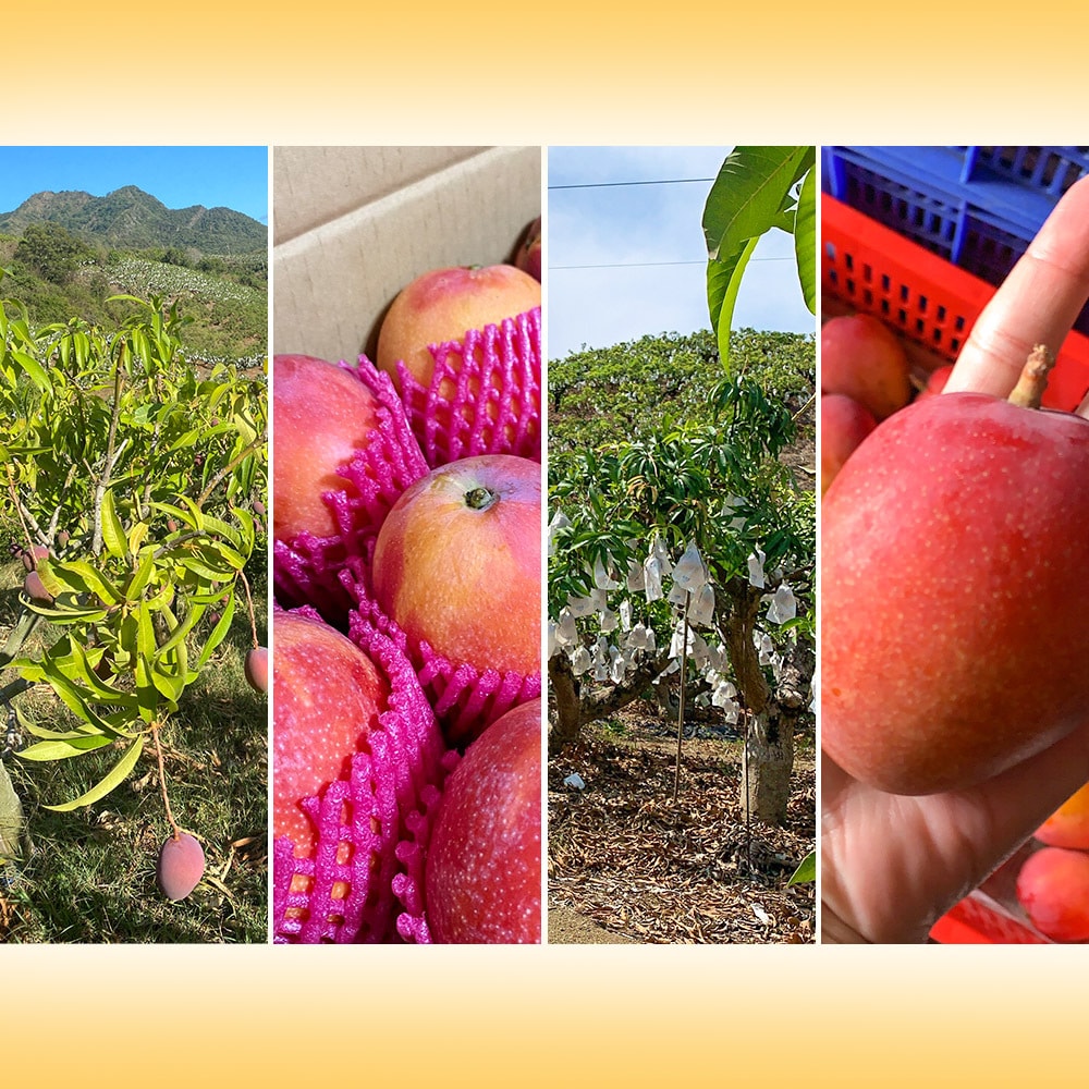 original.jpg?1681954714