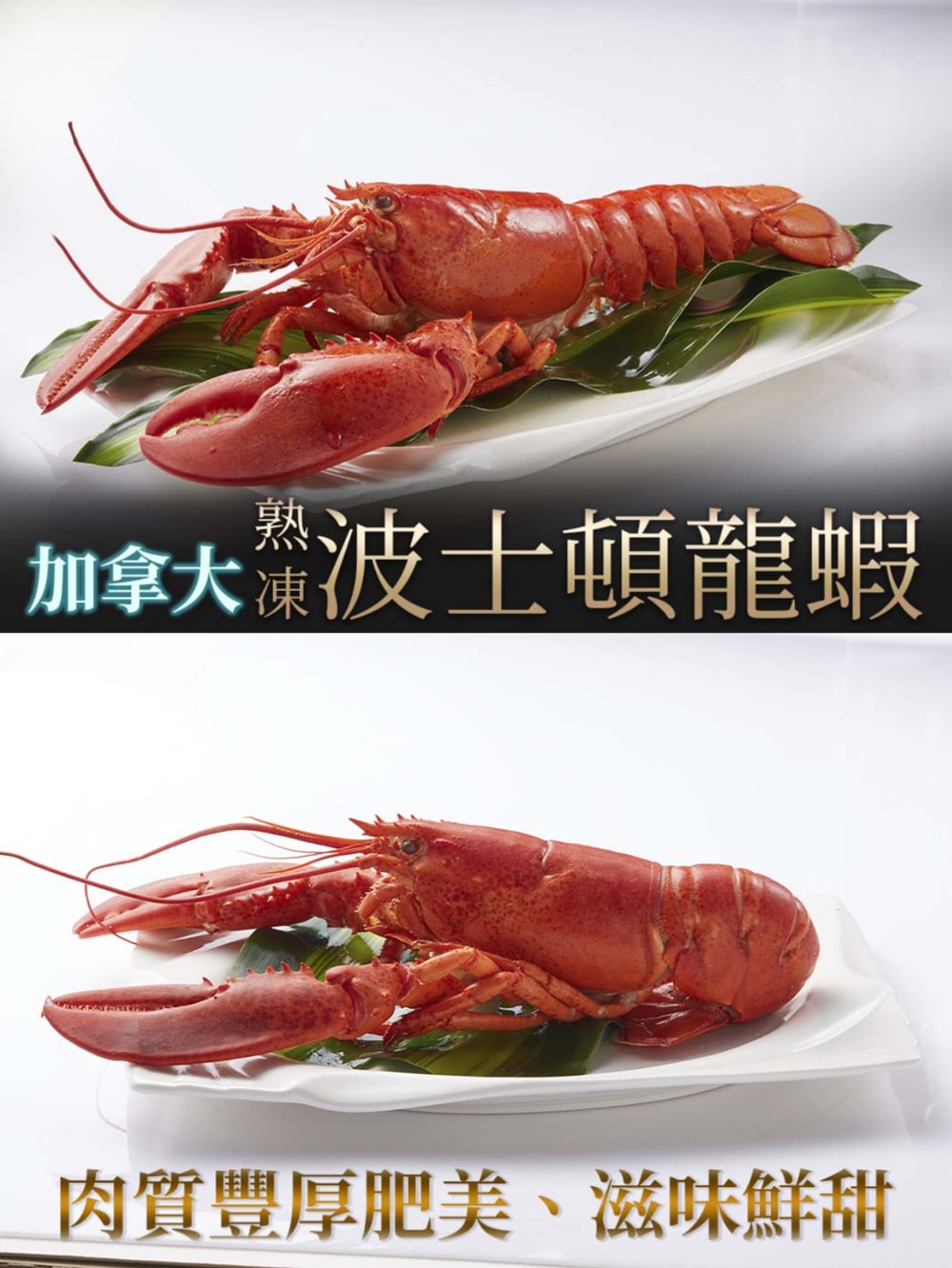 original.png?1640945013