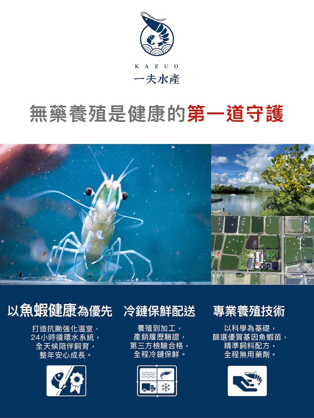 original.jpg?1655714542