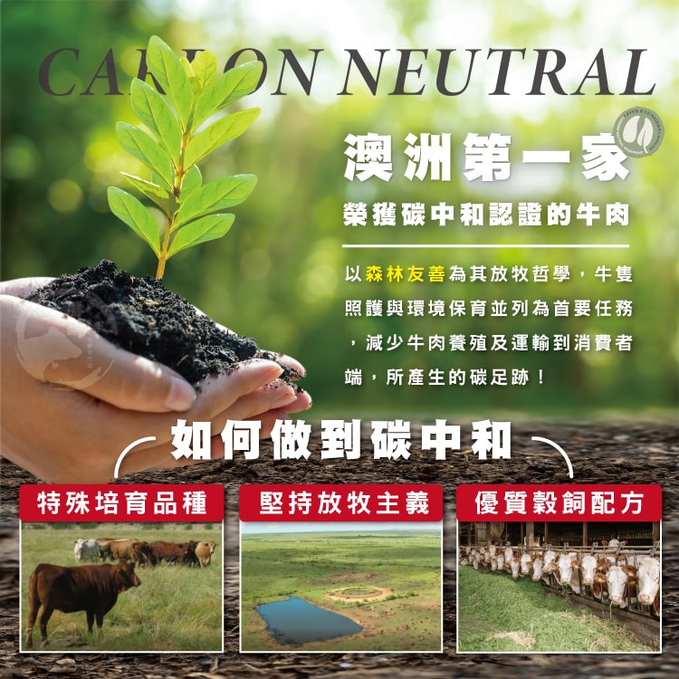 original.jpg?1686194101