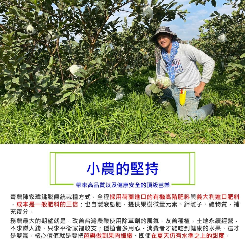 original.jpg?1679885121