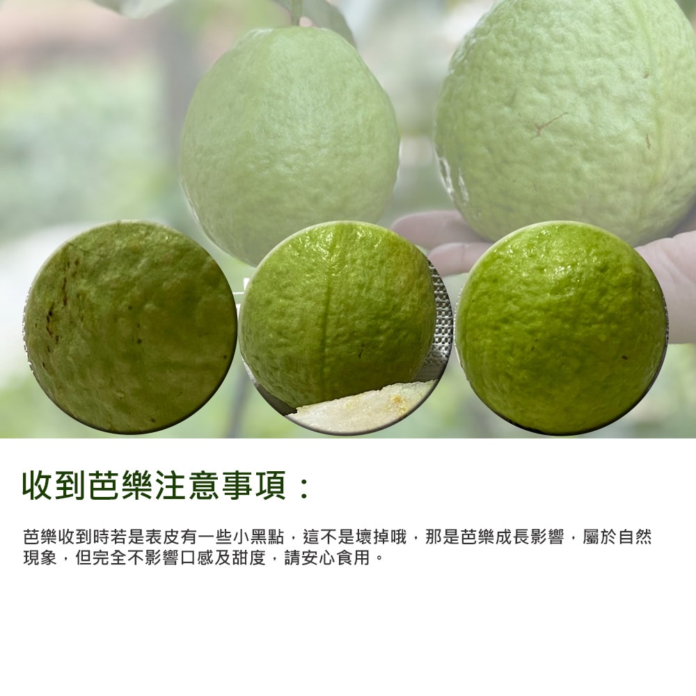 original.jpg?1679885121