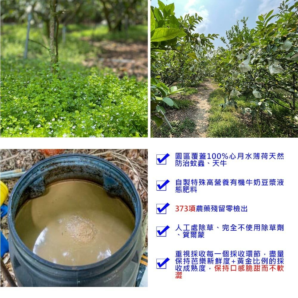 original.jpg?1679885121