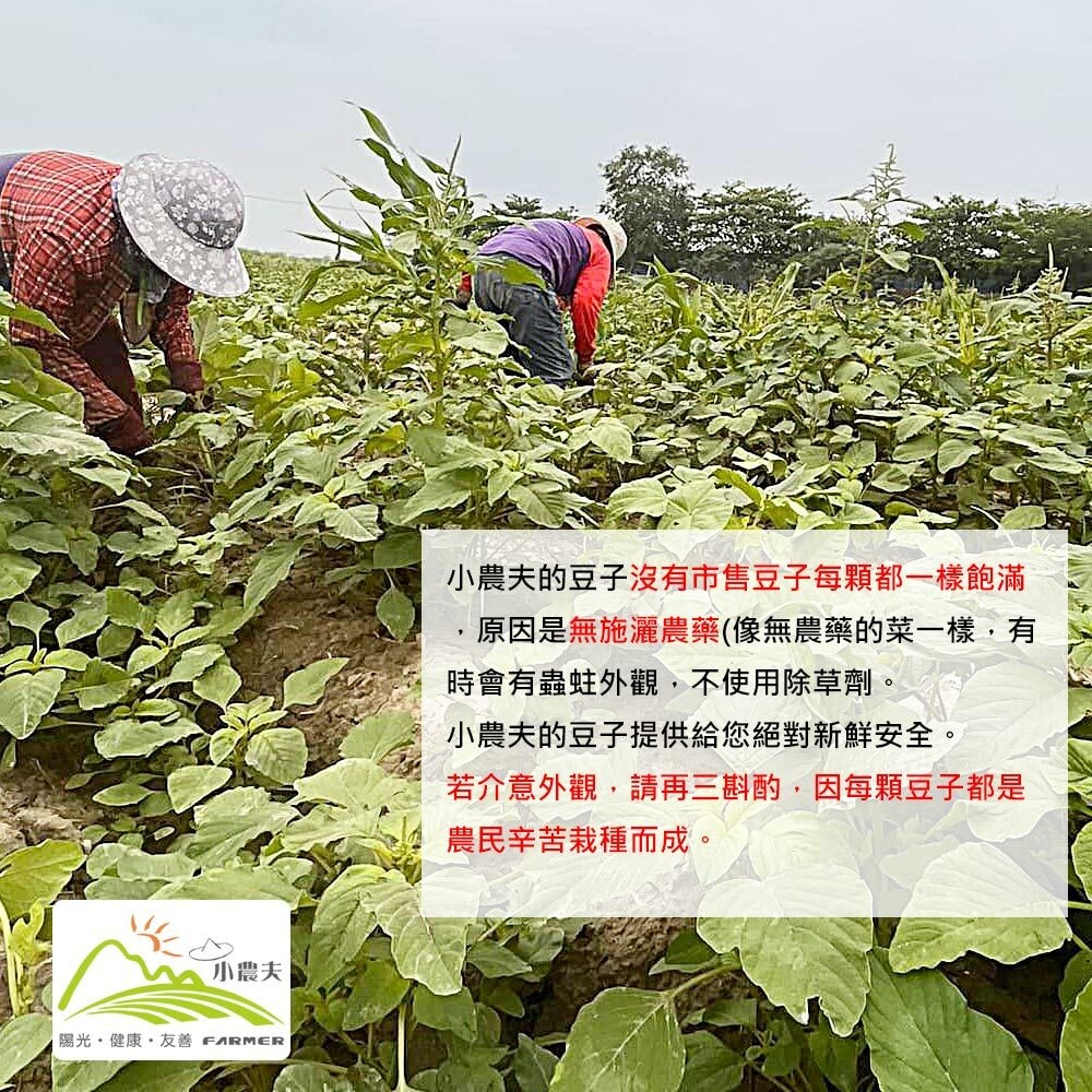 original.jpg?1690335796