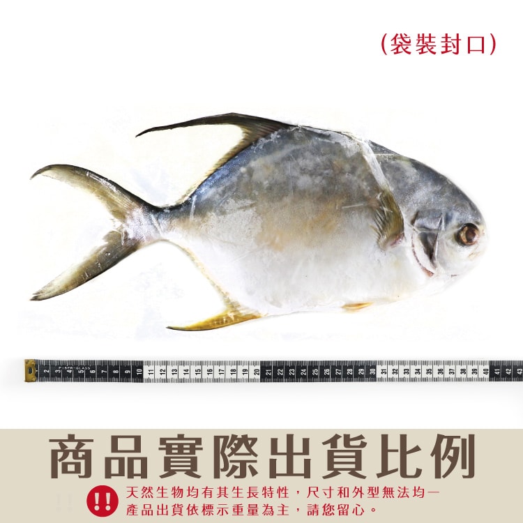 750x750.jpg