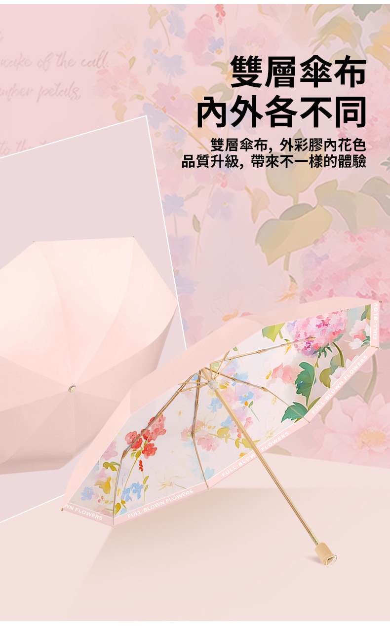 790x1269.jpg