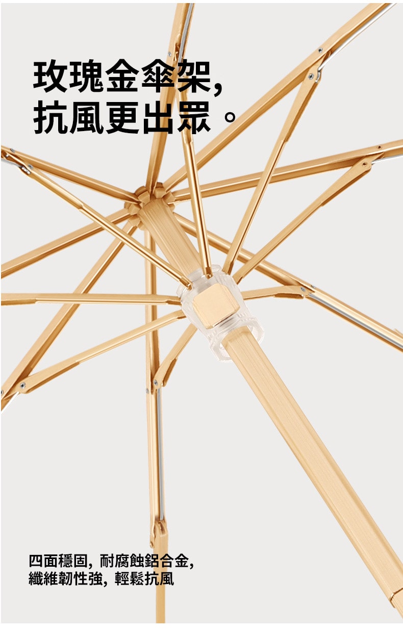 790x1239.jpg