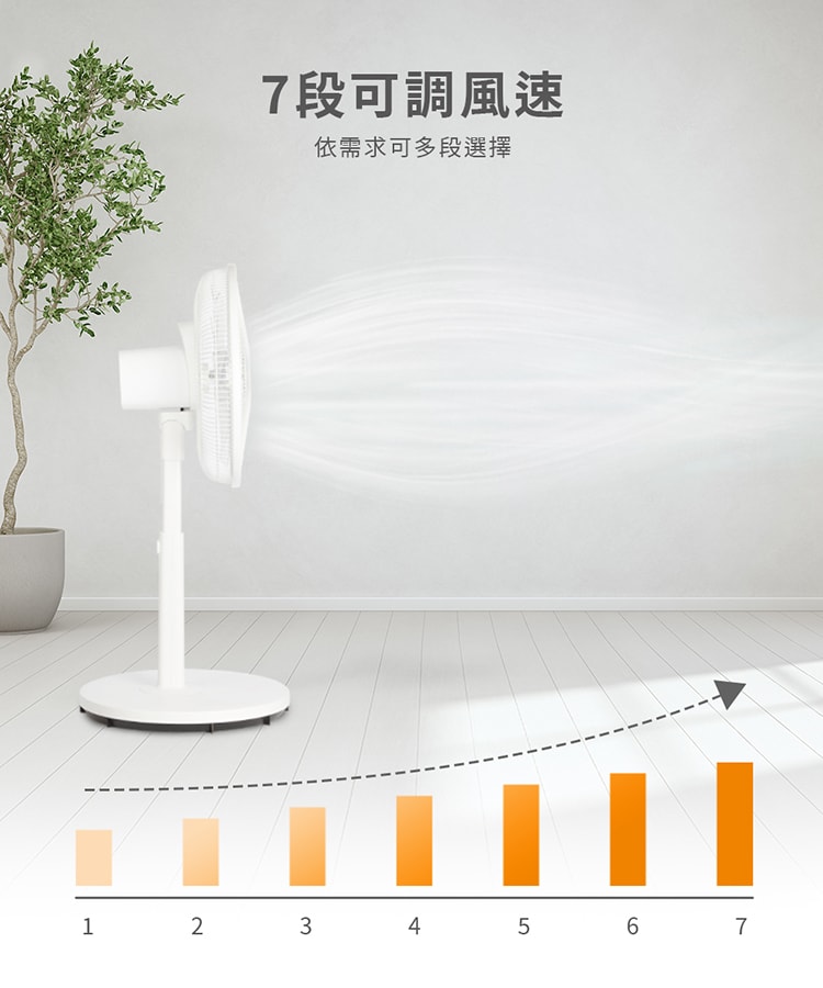 750x900.jpg