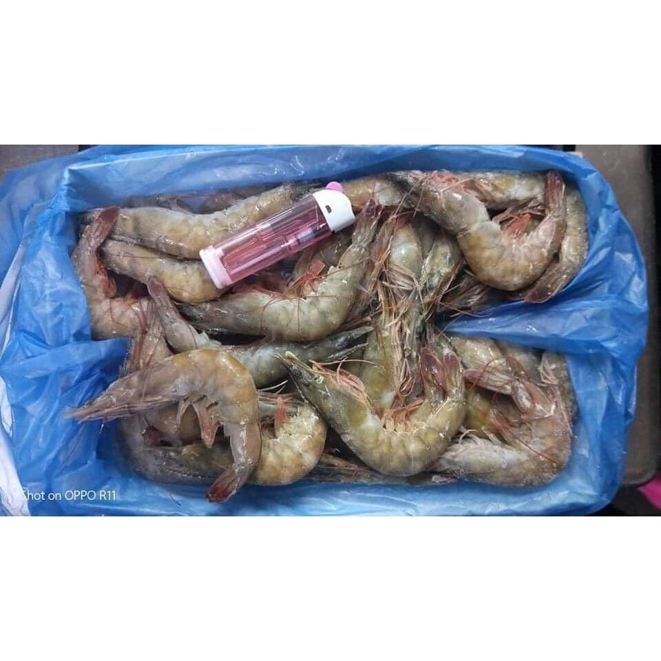 960x960.jpg