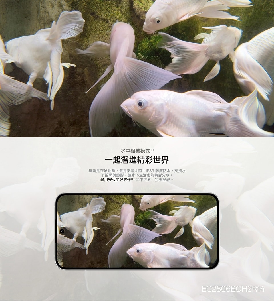 960x1056.jpg