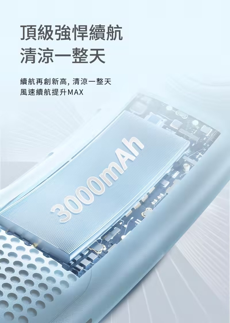 800x1120.jpg