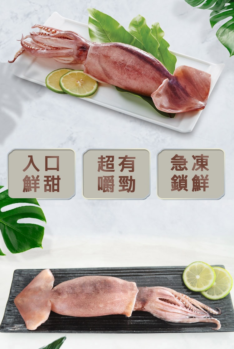 750x1116.jpg