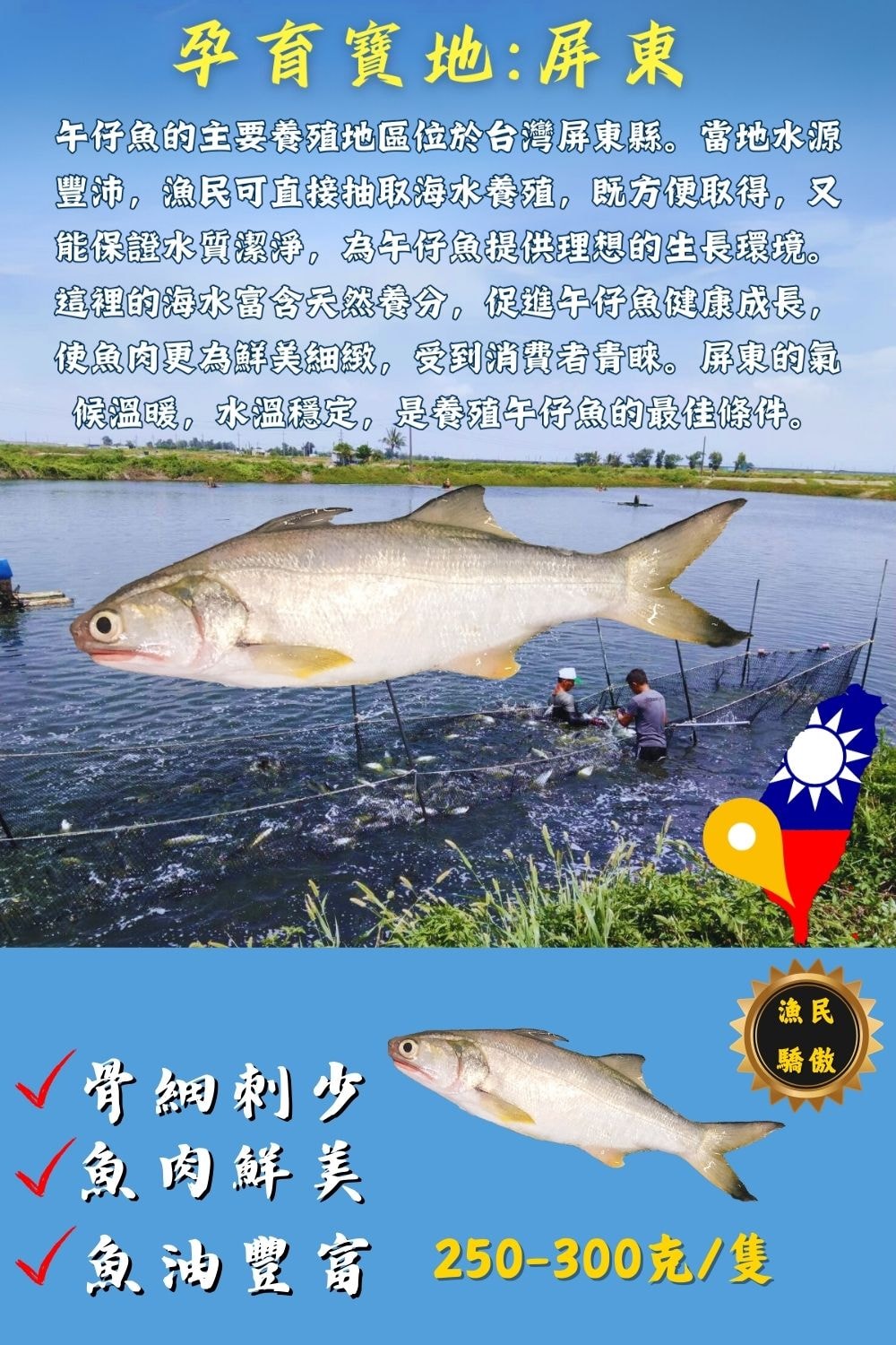1000x1500.jpg
